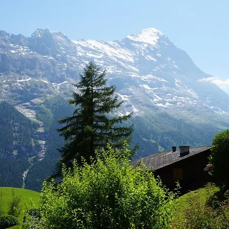 Apartment Eigerview Grindelwald Exterior photo