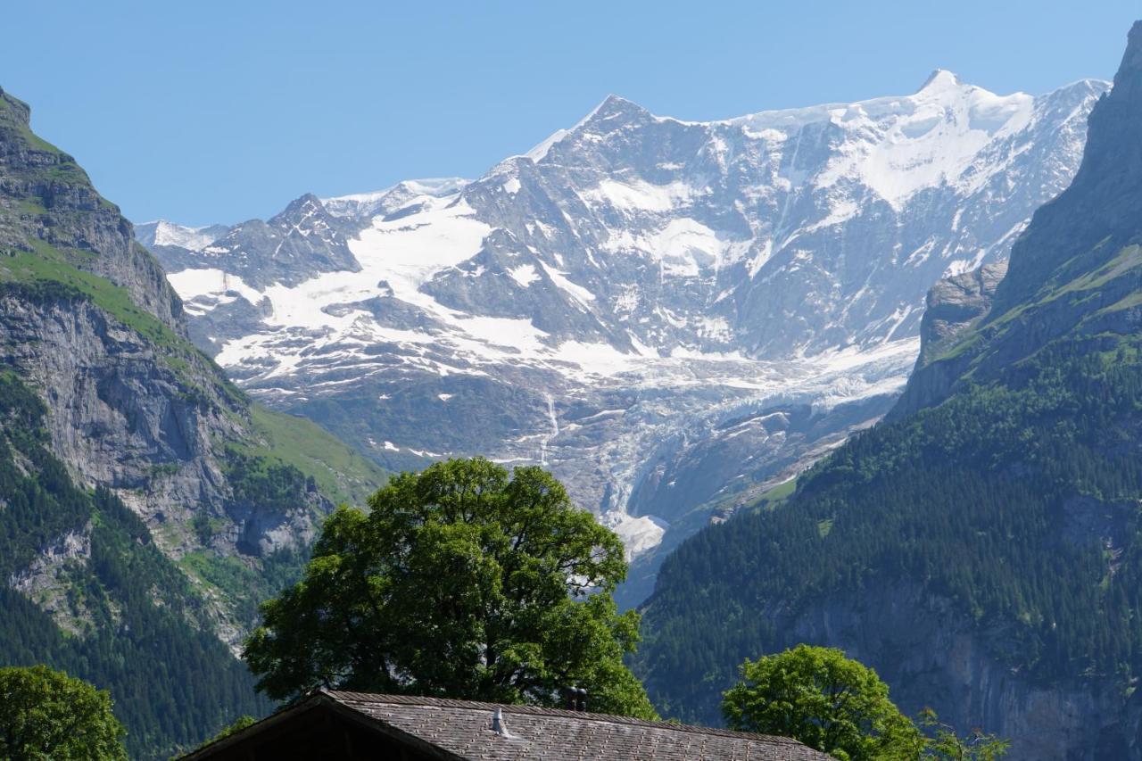 Eigerview Appartement Grindelwald
