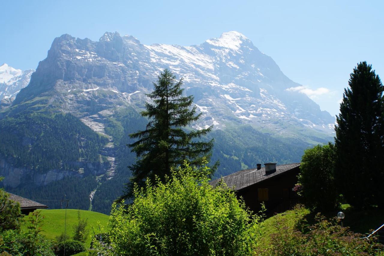 Appartement Eigerview Grindelwald